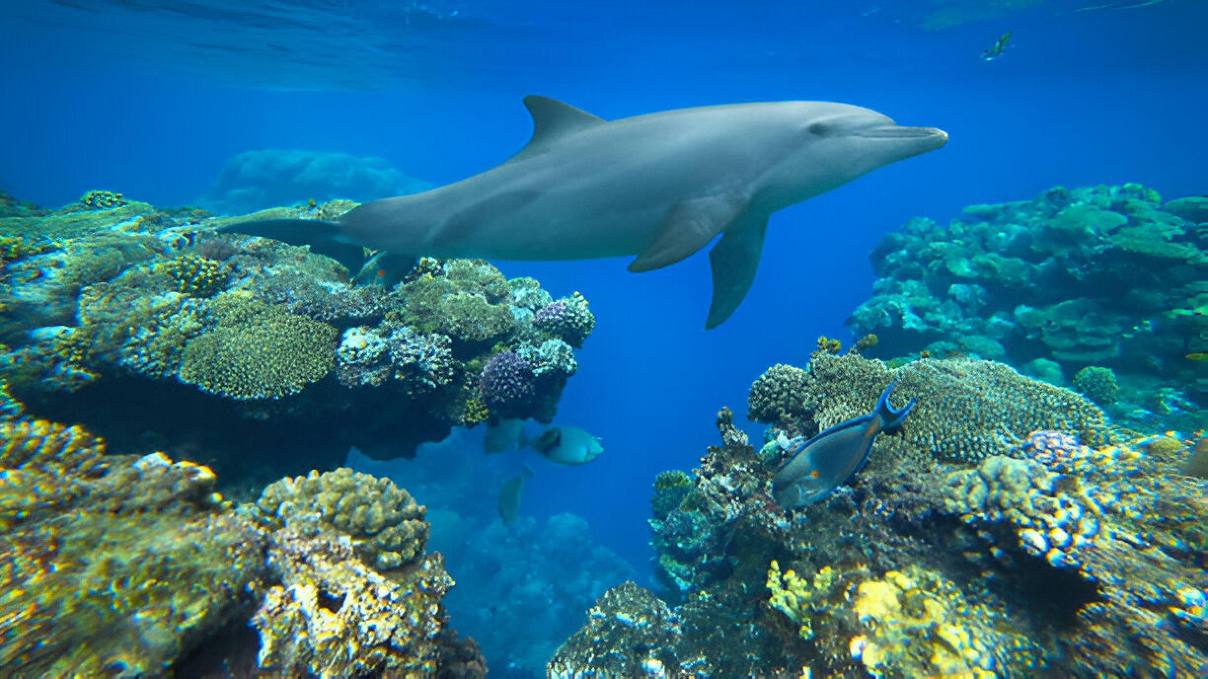 What are the best holiday destinations in Egypt